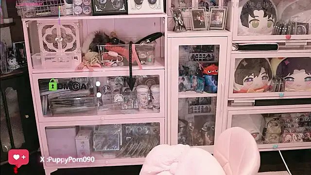 Freechat nide_xiaogou on StripChat